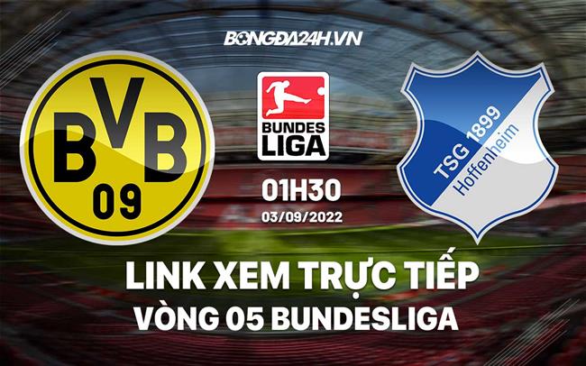 Link xem truc tiep Dortmund vs Hoffenheim (Vong 5 Bundesliga 2022/23)