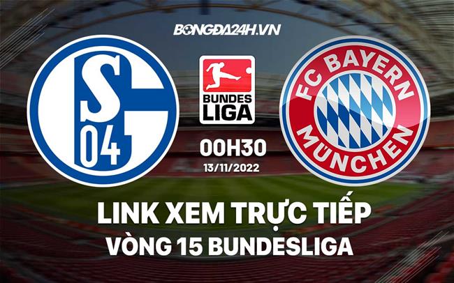 Link xem truc tiep Schalke vs Bayern (Vong 15 Bundesliga 2022/23)