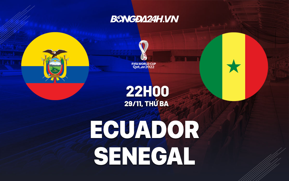 truc tiep nhan dinh soi keo du doan Ecuador vs Senegal world cup 2022 hom nay