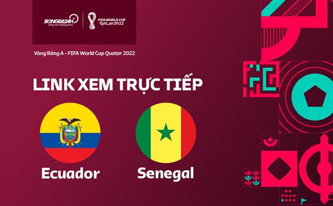 Truc tiep Ecuador vs Senegal link xem World Cup 2022 o dau ?